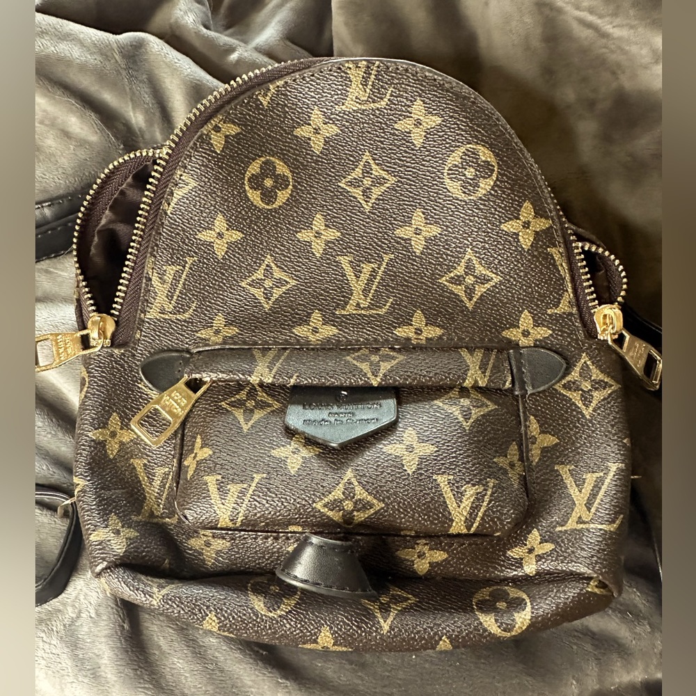 Replica LV Palm Springs Mini backpack/purse. Never used.